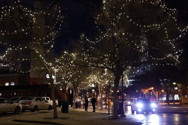 Warm white C7 Christmas lights installed on trees next to a parking lot at The Forks, Winnipeg, MB