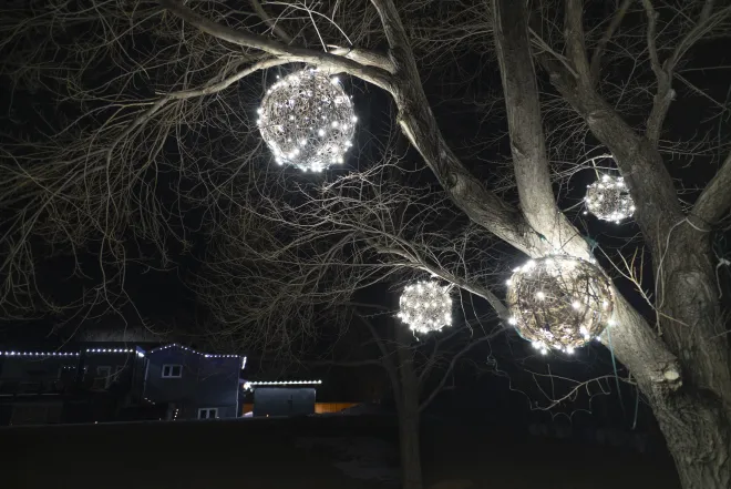 Cool white &#039;Wrapped&#039; light spheres installed on a deciduous tree in West St. Paul, MB