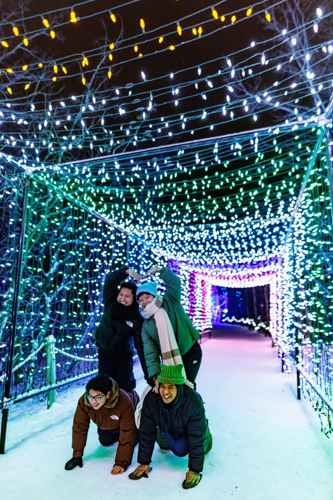 Custom light tunnel installed at Zoo Lights, Winnipeg, MB