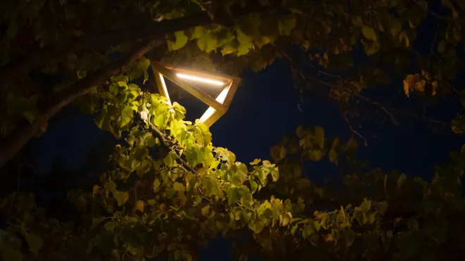 A custom designed outdoor light fixture installed on a tree outside The Forks Outdoor Commons in Winnipeg, MB