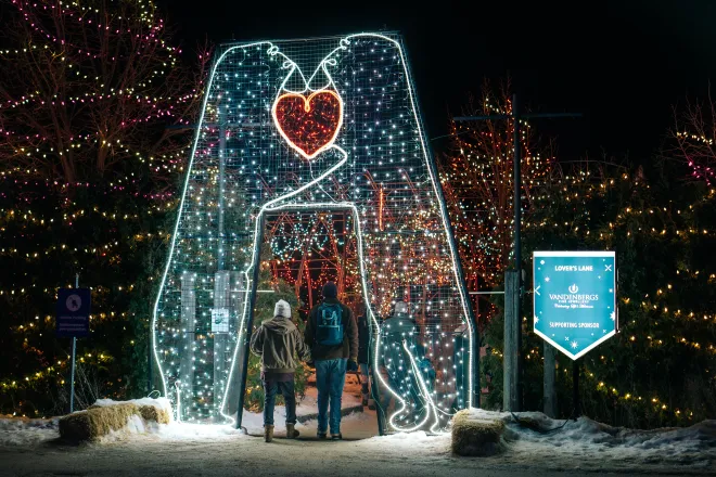 Lighted armature &#039;Hugging Polar Bears&#039; by Winnipeg artist James Culleton at Zoo Lights, Winnipeg, MB