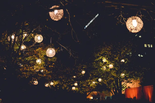 &#039;Refined&#039; light spheres installed in trees outside the Millennium Library in Winnipeg, MB
