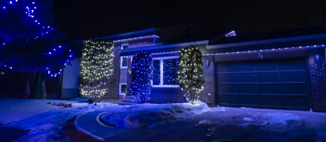 Gemstone Lights installed permanently with Christmas lights installed on the trees seasonally in Winnipeg, MB