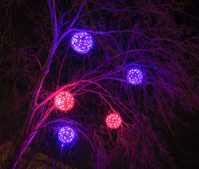 2020-Backyard-Events-Christmas-Spheres-Purple and pink &#039;Wrapped&#039; Spheres at The Forks, Winnipeg, MB